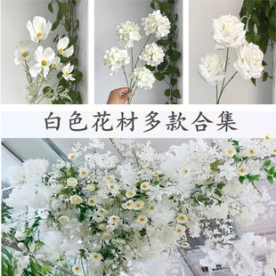 ��ɫ��c����Y�õ�픰�ɫ�����b��߽����Ƶ껨��·������