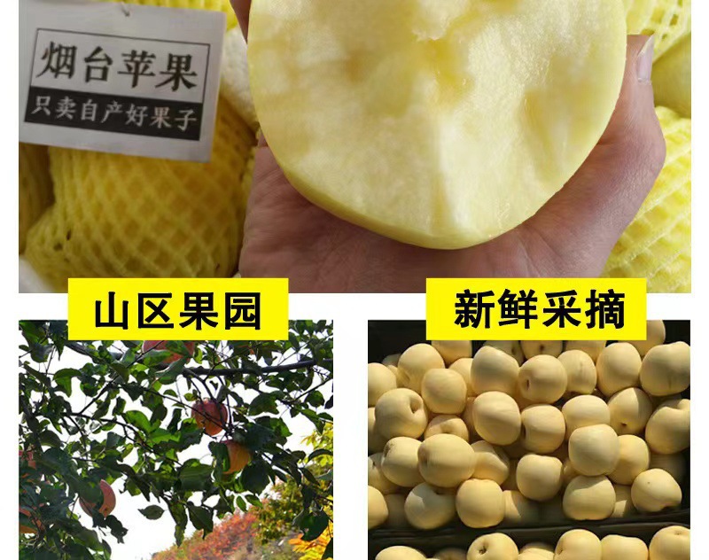 026087bceaea9f4c79b7e2f2dd3b39