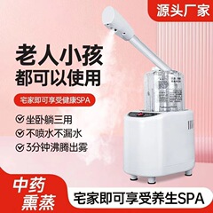中草药熏蒸仪热喷喷雾机热喷仪熏眼仪熏鼻器美容院家用专用熏蒸机