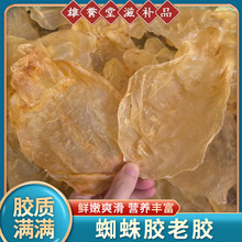 35头蜘蛛胶陈年老胶深海鱼胶花胶干货厚肉胶片孕妇月子滋补品