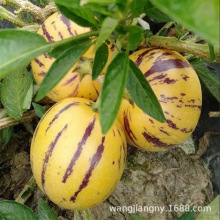 �˲ι������ˮ����������������ϵ�����Ϸ�����������ͥԺ����