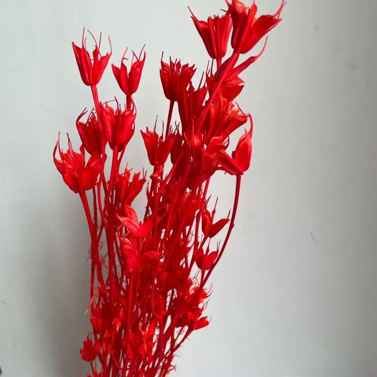 Flores de inmortalidad rojas decoración de boda flores secas de Año Nuevo para dar la bienvenida a los huéspedes frijoles de dragón grasa colgando arroz al por mayor