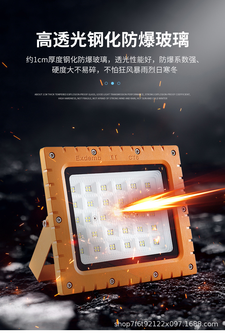 防爆灯_10.jpg