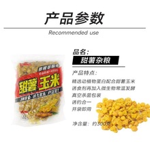 ωlsZCҰីCϲ~sZ׸C~D