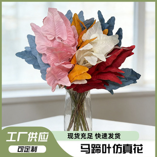 ��֦�R���~����ֲ��ٻ���c�͏d�Ҿ��bzӰ���߷����R���~���l