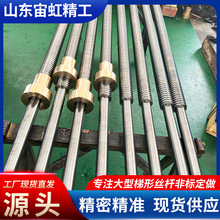 厂家供应梯形螺杆 梯型丝杠TR30-300长度20米45号梯形丝杠铜螺母
