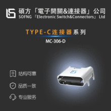 ˶��MC-306-D��TYPE-C��������LIANYDA-CUS31066889001/HCPMB