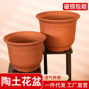 �����������͸�����÷Nֲ�����մɼ��Ï͹����������҃��̨����