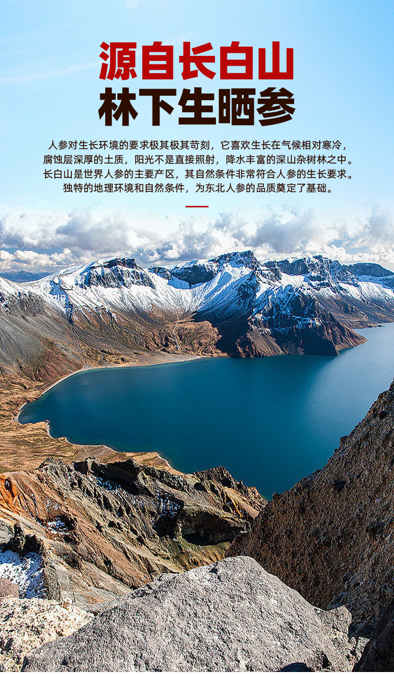 人參詳情頁(yè)_02