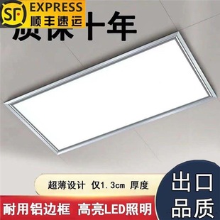 Lei Shiji Integrated Ceiling Led Light Kitchen Aluminum Gusset Light Bathroom Embedded 300*600 Rectangular Ceiling