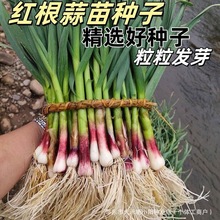 ��������������Ѵ���ͷ�����������ֺ�Ƥ�����ļ����ش���