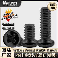 Pm黒色十字溝半円頭ねじ十字盤頭機歯ねじm2/m 2.5/m3/m4/m 5/m 6