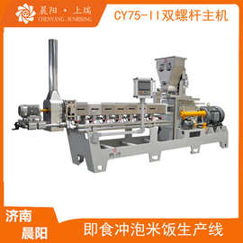 方便米生产线 人造米生产线 人造米机器设备 人造营养米生产机械