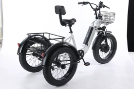 电动自行车;自行车;电动三轮车