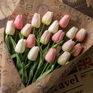 PU����������INS�L�b羳���l���滨�����Ҿӽ�����c��ͥ�ٻ�