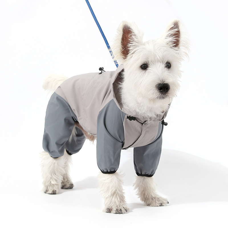 国境を越えたペットは犬の四足レインコートを牽引することができます。|undefined