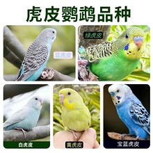 ���w���B��Ƥ�W�^녰ߌ����B�������r���B�H�˿ɽ��fԒ�ɷ�ֳ�µ�