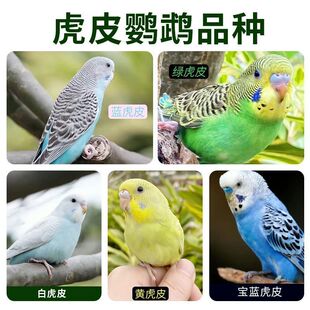 ���w���B��Ƥ�W�^녰ߌ����B�������r���B�H�˿ɽ��fԒ�ɷ�ֳ�µ�