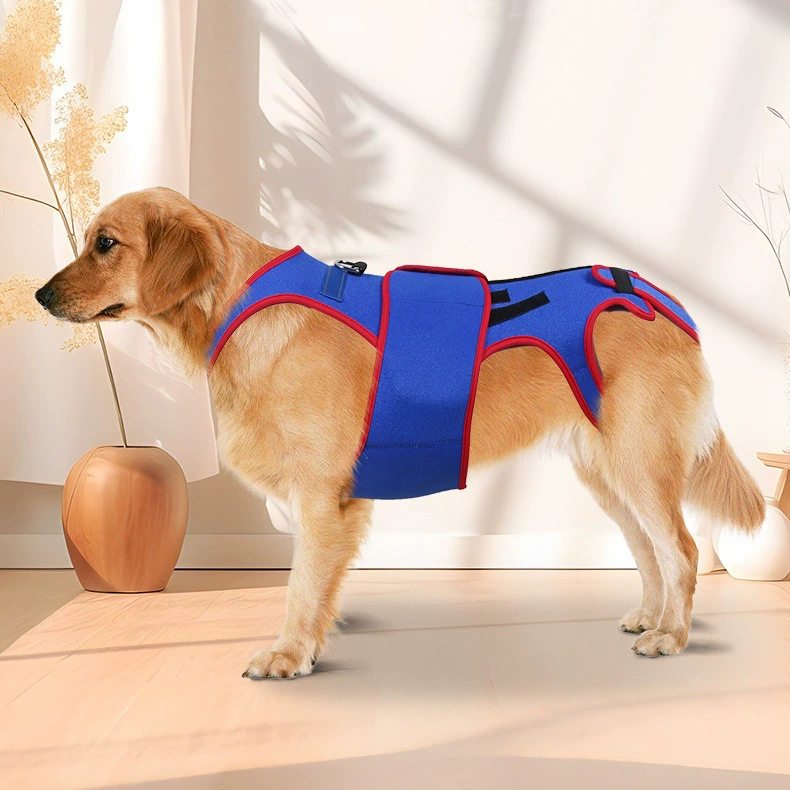 Трансграничный новый костюм для поддержки позвоночника домашних животных Домашние животные предотвращают шейный спондилез