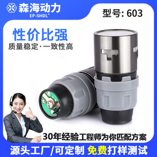 Cross-Border Supply 603 Professional Singing Microphone Metal Microphone Ktv Microphone Dynamic Microphone Core High Fidelity Anti-Howling