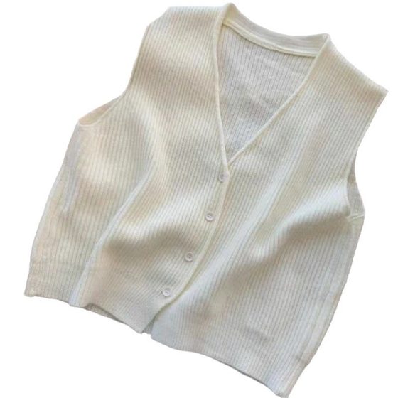 Knitted Vest Vest for Women's Outer Wear Autumn New Style Waistcoat Stylish Sleeveless Sweater Vest for Women