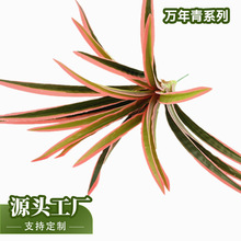 �����f����ϵ�оGֲ�����҃����b���ؔ[�žGֲ���Է���ֲ���b�