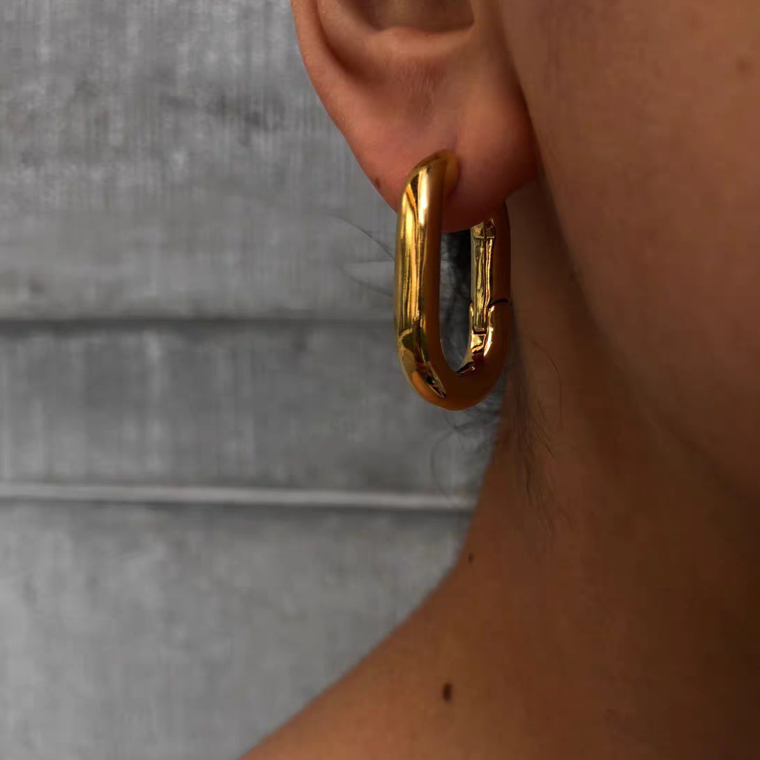 Earrings Classification 1 Pair Quantity 1 Pair Simple Style Classic Style Solid Color Plating Titanium Steel Earrings