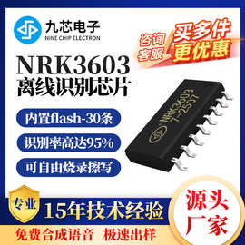 九芯电子离线语音识别芯片自由烧录指令词条人声智能识别NRK3603