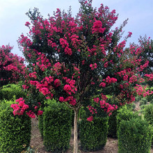 �����ͺ��͟�t����ޱ����t�����ޱ����t������ռt�����ͺû�