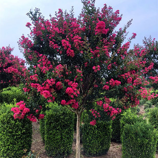 �����ͺ��͟�t����ޱ����t�����ޱ����t������ռt�����ͺû�