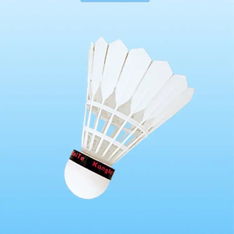 22e1f37a-cdf3-4edd-8bc4-8dd73387d3de.jpe