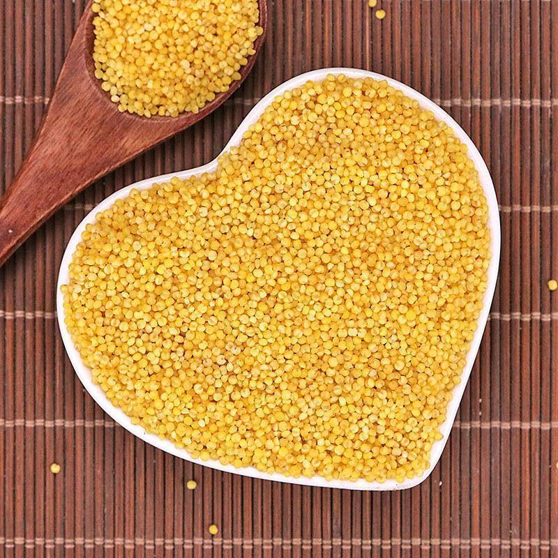 North Shu Mi Glutinous Millet 北秫米 Dried Grain for Congee and Herbal Decoctions 500g quality and texture