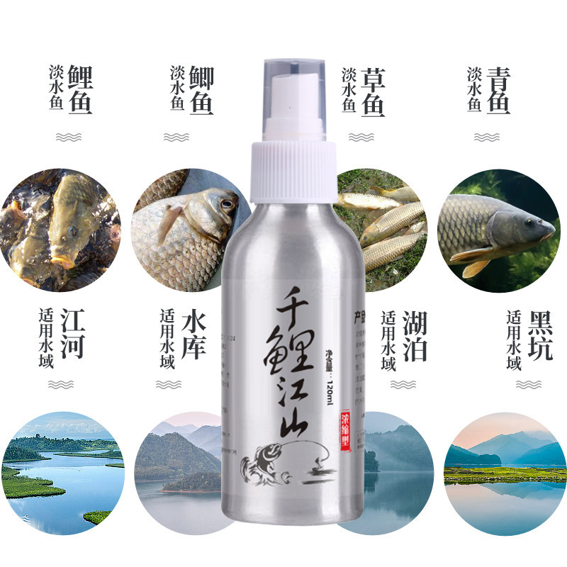 千鲤江山野钓黑坑水库鲤鱼饵料打窝子料添加剂垂钓诱鱼小药|undefined