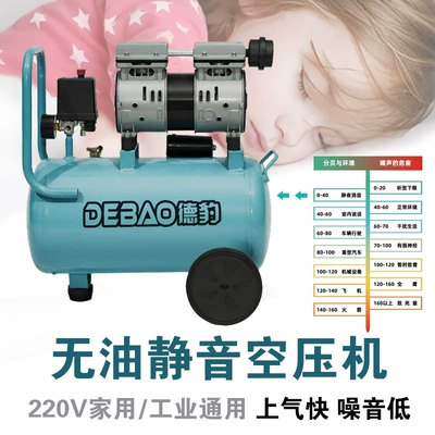 Hava kompressorları: Paint 220V Low-Noise Industrial