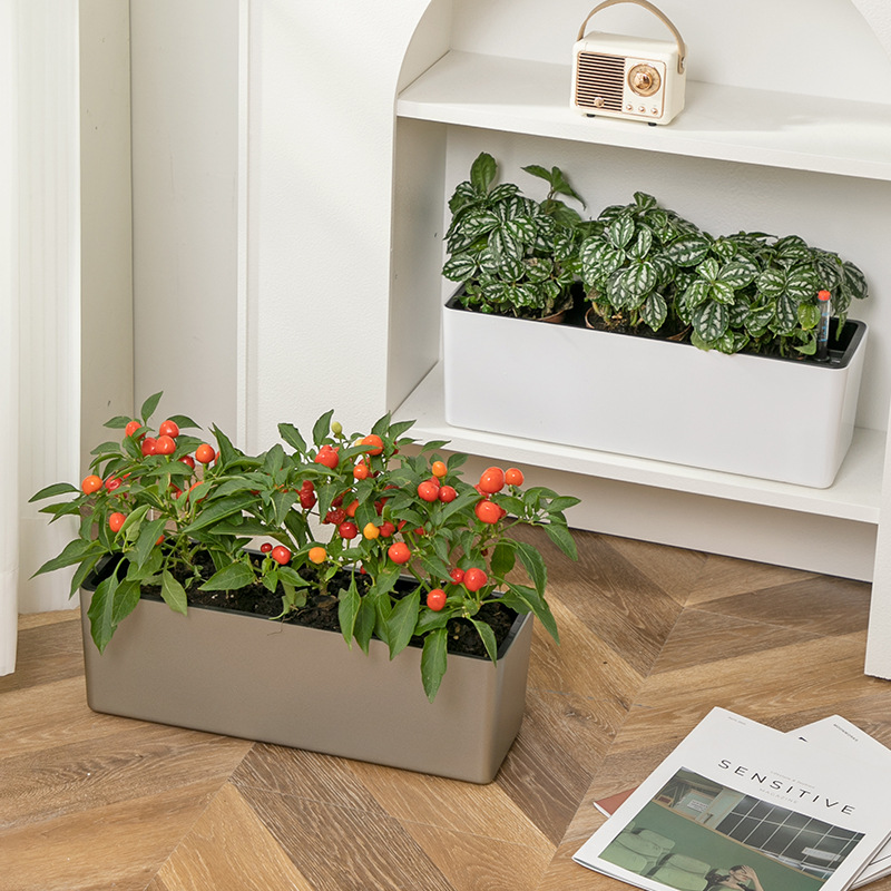 Maceta Autoabsorbente Rectangular de Gran Diámetro, para Balcón y Ventana, de Resina