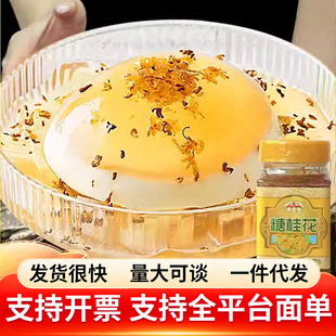 �ǹ�������u���ù��u�����ǝ{Ĩ����㾫����������ۼ���