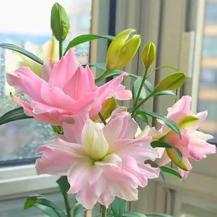 һ�����l�����_�ļ�����ˮ�ٺώ�ѿ�ͺ��ļ������҃����̨���ܾG