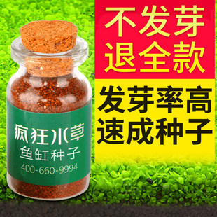 ˮ���~�׌��ò����~���쾰�����B�~����ˮ�|ţë�����ذ�����N��