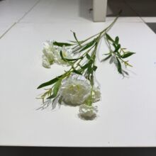 ����ܰ���滨�ٻ������͏d�����[���b廨��ˇĸ�H�����S�����