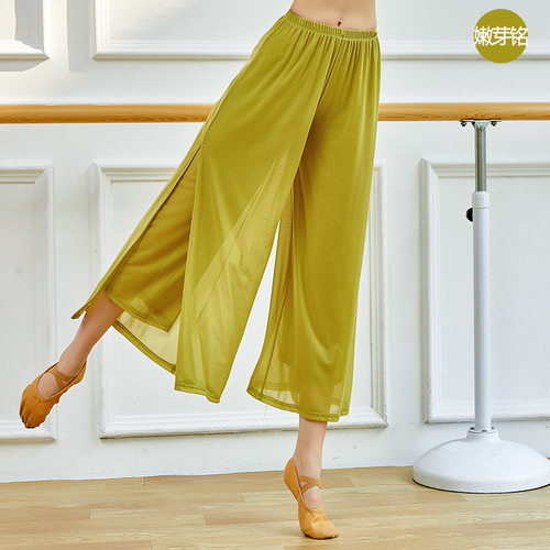 Classical dance practice pants for adult women with mesh body rhyme spring and summer new Chinese ancient style ethnic dance square elegant wide-leg pants