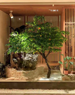 ������ޱ����٘�e��ͥԺ���@�@���b������Ĕz�쾰���^��Ӱ