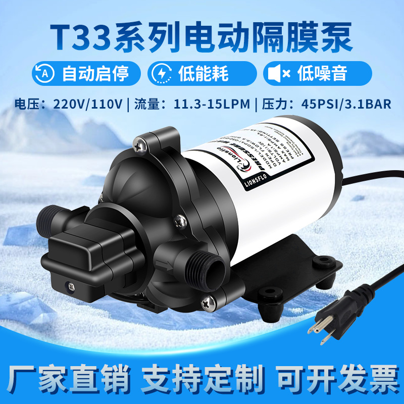33 RV 워터 펌프 220V/110V 식기 세척기 온수기 부스터 펌프 농업 관개 다이어프램 자체 프라이밍 워터 펌프