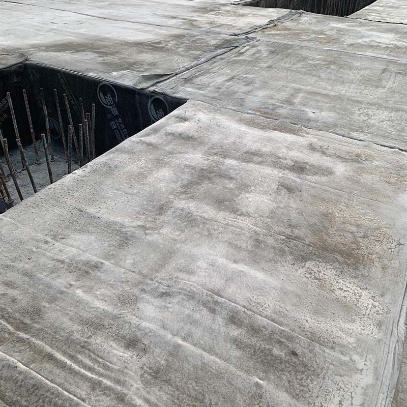 b_4044463201912170936538283