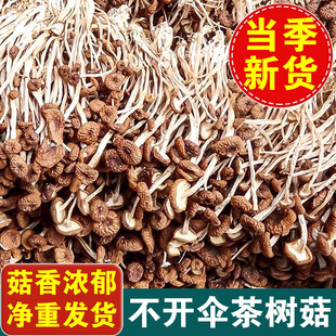 �����ء���乽500g������؛�����خa���_���乽��؛20g�Ҝ�ʳ