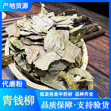 青钱柳 中药材批发 金钱柳 摇钱树 干净无杂 支持药检 承接订单