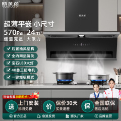 新型大吸引力家庭用7字型トップ側二重吸煙機キッチン大吸引力平嵌め込み小サイズ油煙