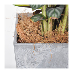 Gardening Cultivation Planting Medium Pot, Weed-Proof and Dust-Proof Surface Decoration, Coconut Coir Soil for Bonsai and Succulents, Eco-Friendly Planting