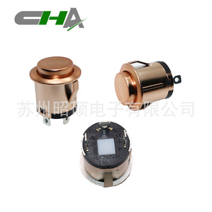 Suzhou Supply Quality Kidsren's Car/household Range Hood Electrical Products Self-locking/reset Can Be with Lighted Key Switch