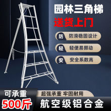 �@�֌����������X�Ͻ��@ˇ��֦���_�ݲ�ժ��÷�޼��ݹ��@��������