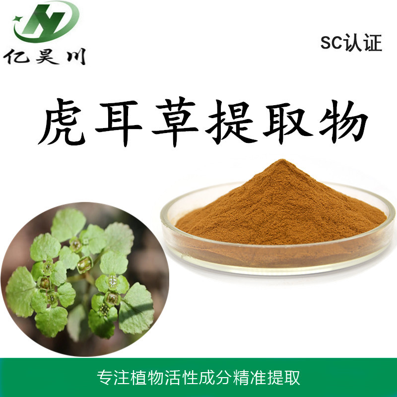虎耳草提取物10:1 全水溶虎耳草粉 植物提取物厂家现货量大从优